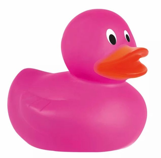 Pink Duck